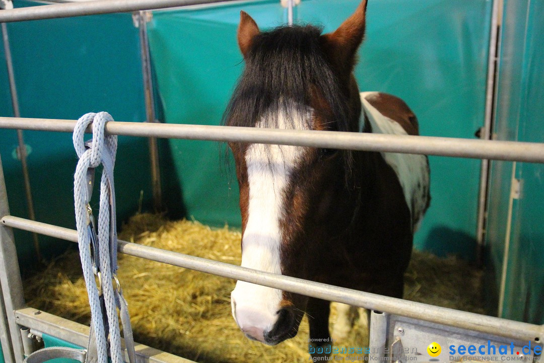 PFERD BODENSEE - Messe Friedrichshafen am Bodensee, 14.02.2014