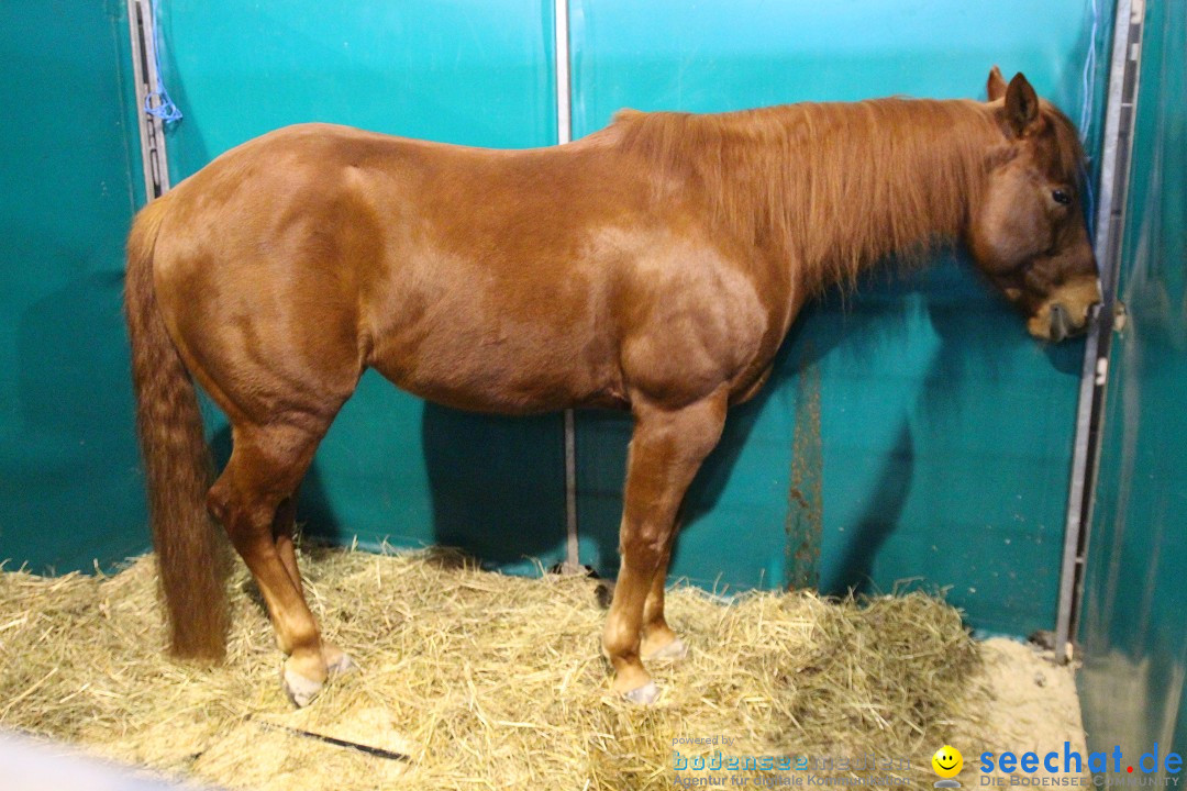 PFERD BODENSEE - Messe Friedrichshafen am Bodensee, 14.02.2014