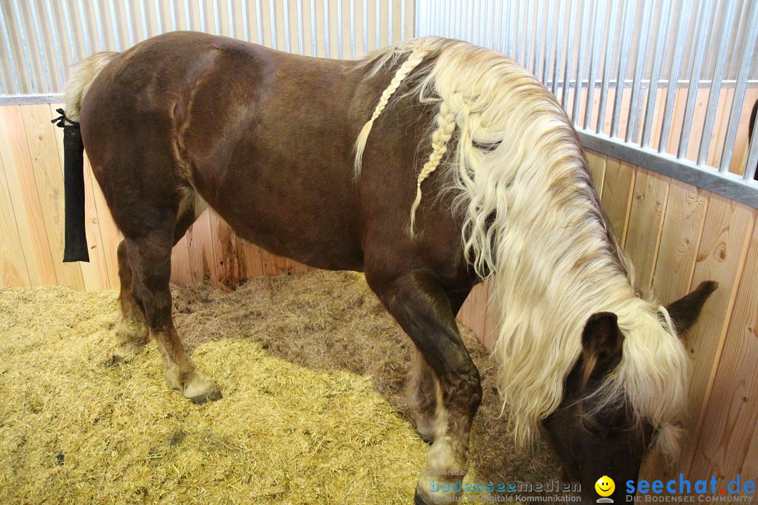 PFERD BODENSEE - Messe Friedrichshafen am Bodensee, 14.02.2014