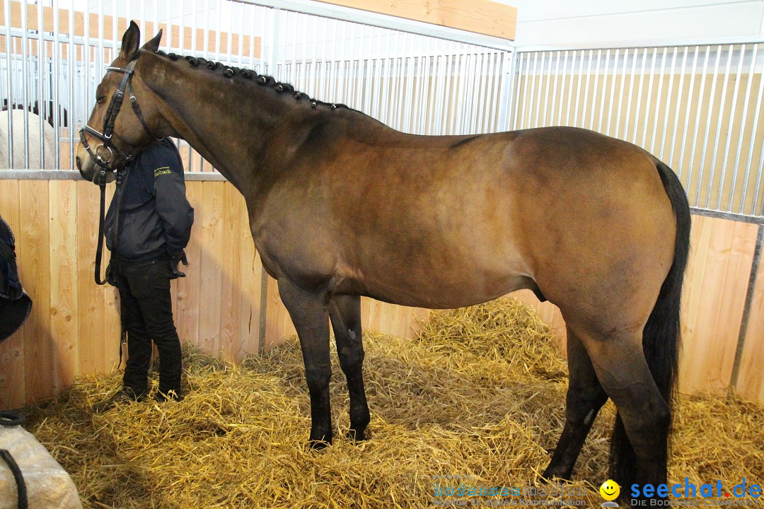 PFERD BODENSEE - Messe Friedrichshafen am Bodensee, 14.02.2014