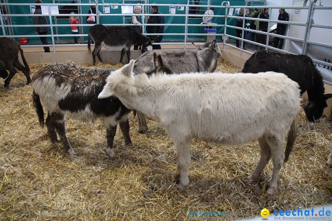 PFERD BODENSEE - Messe Friedrichshafen am Bodensee, 14.02.2014