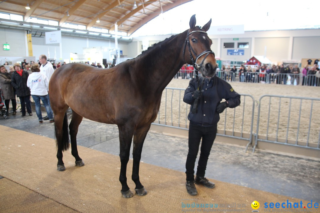 PFERD BODENSEE - Messe Friedrichshafen am Bodensee, 14.02.2014