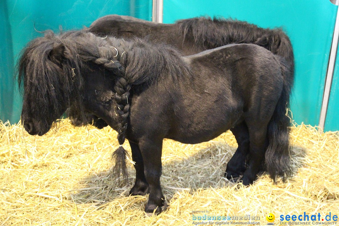 PFERD BODENSEE - Messe Friedrichshafen am Bodensee, 14.02.2014