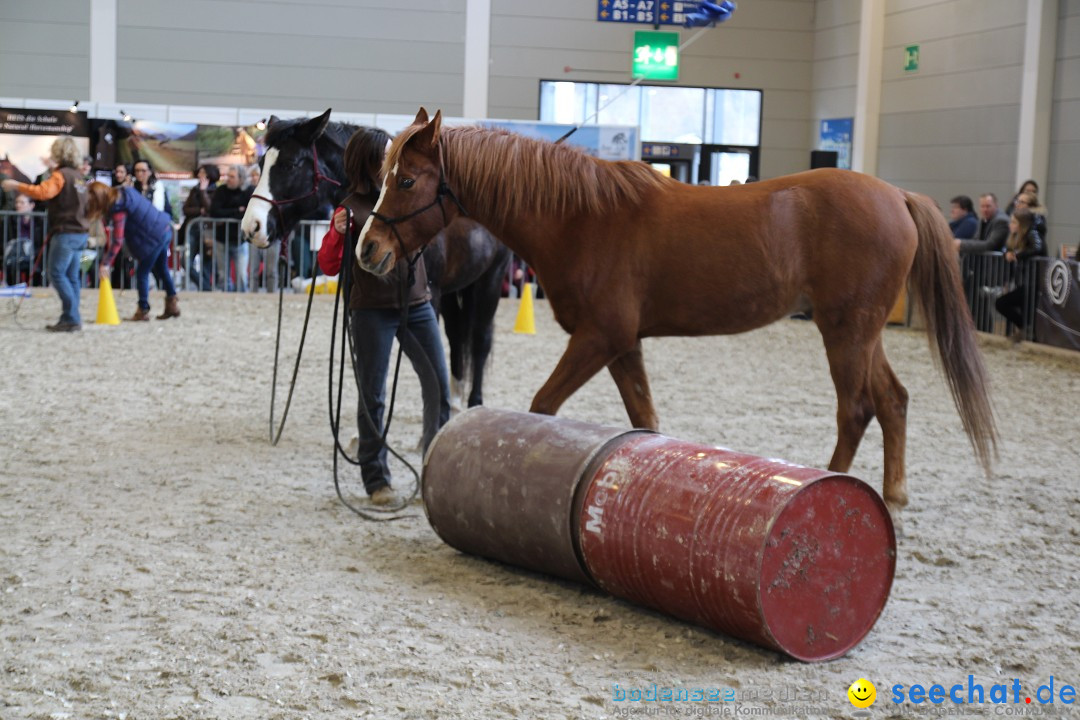 PFERD BODENSEE - Messe Friedrichshafen am Bodensee, 14.02.2014