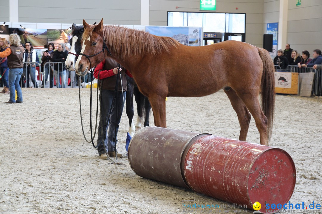 PFERD BODENSEE - Messe Friedrichshafen am Bodensee, 14.02.2014