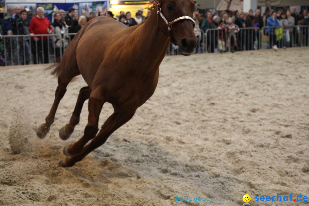 PFERD BODENSEE - Messe Friedrichshafen am Bodensee, 14.02.2014