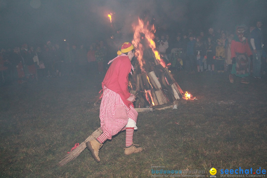 Narrentreffen - Narrentage in Orsingen-Nenzingen am Bodensee, 15.02.2014