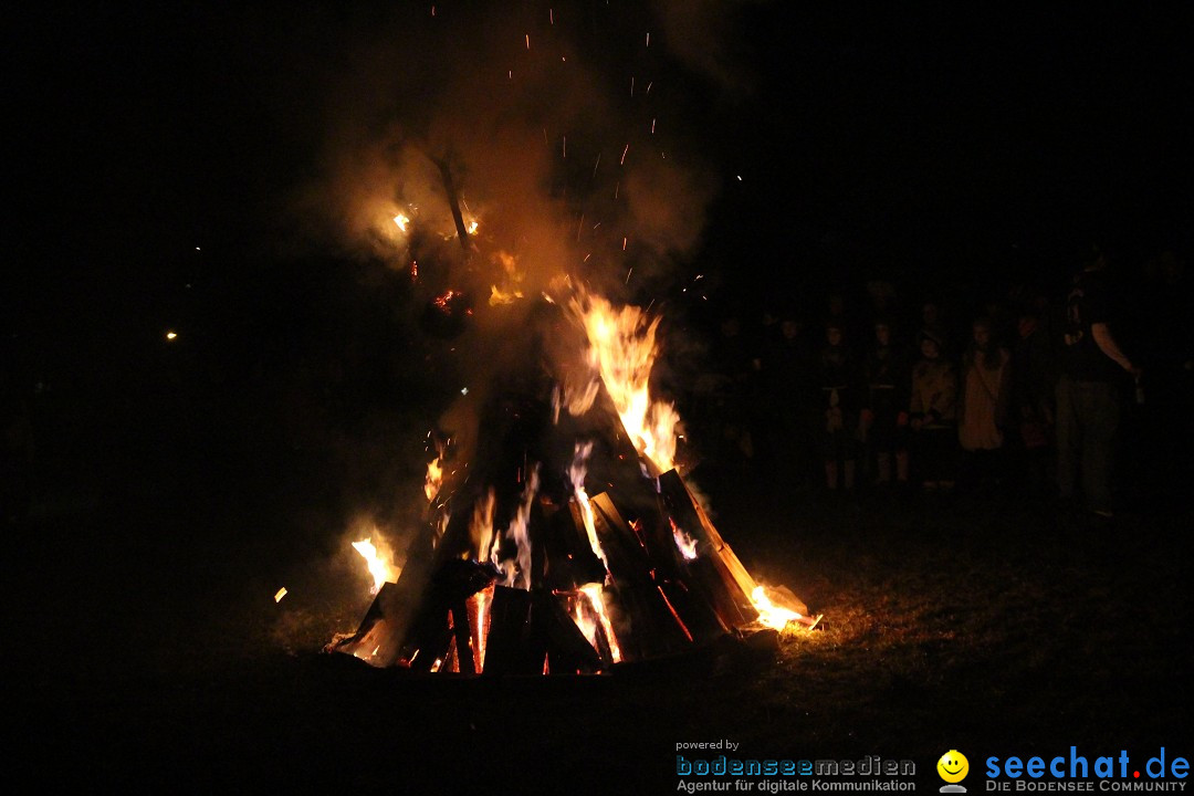 Narrentreffen - Narrentage in Orsingen-Nenzingen am Bodensee, 15.02.2014