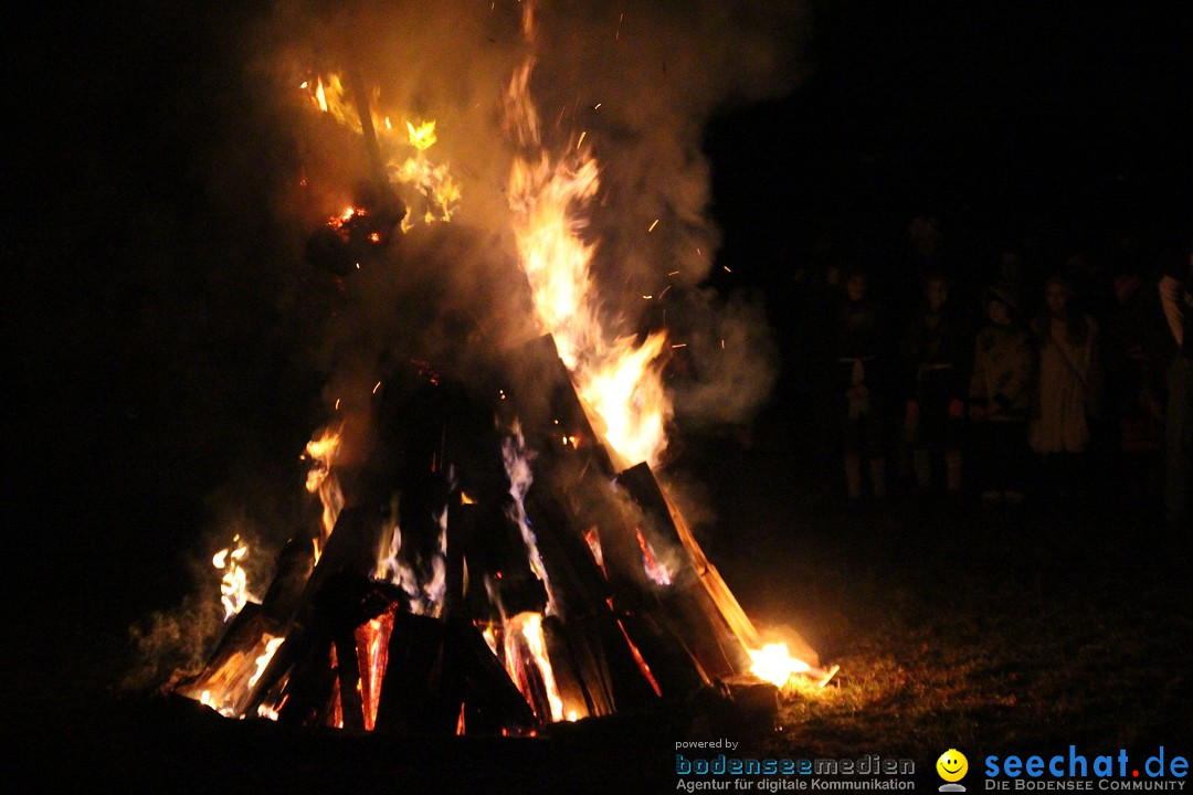 Narrentreffen - Narrentage in Orsingen-Nenzingen am Bodensee, 15.02.2014