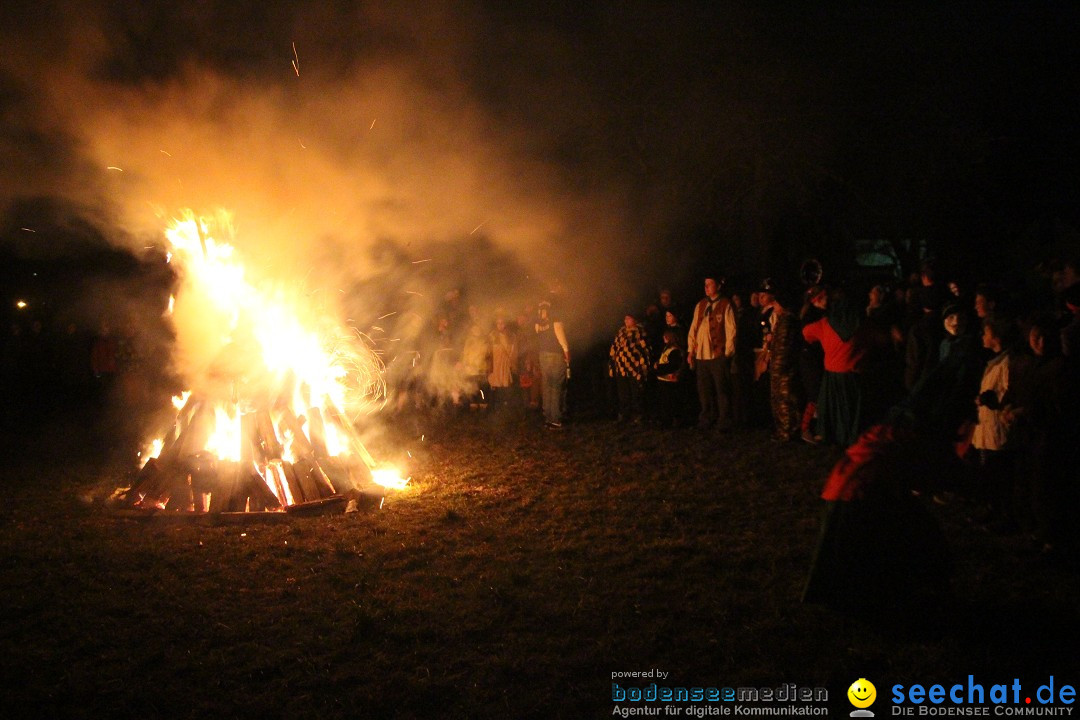 Narrentreffen - Narrentage in Orsingen-Nenzingen am Bodensee, 15.02.2014