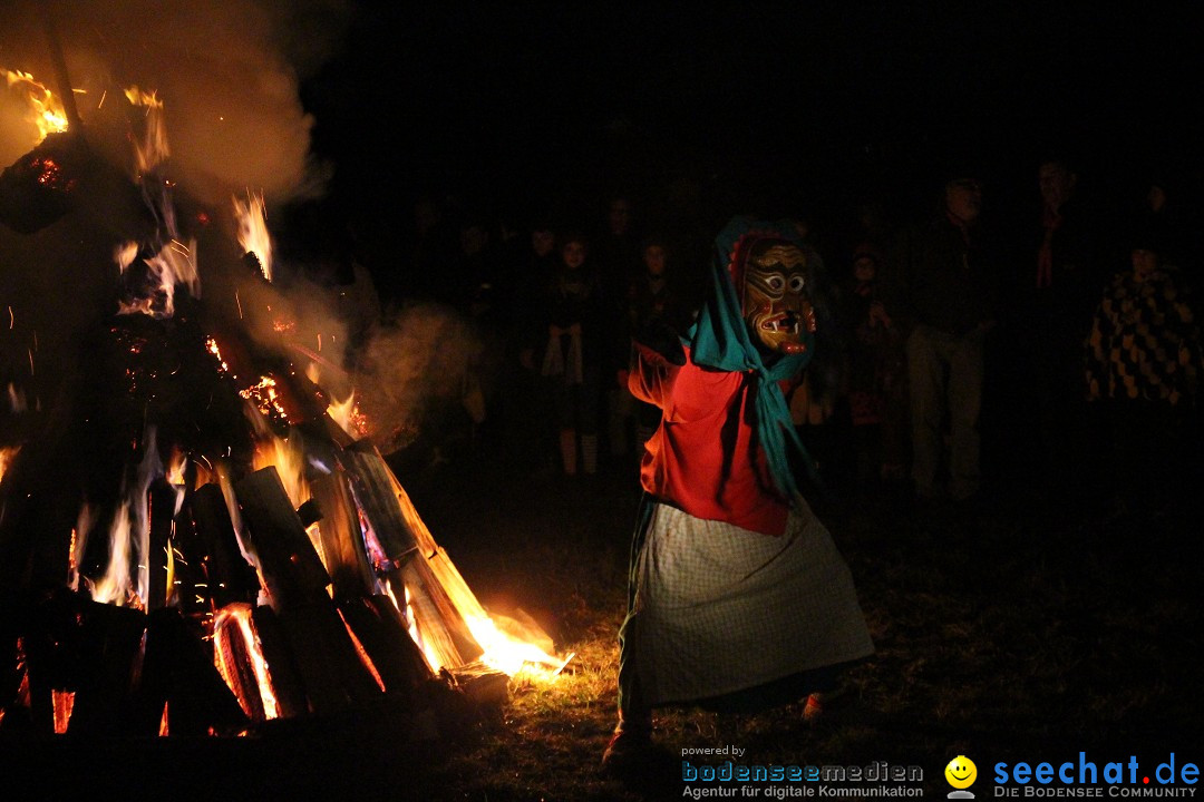 Narrentreffen - Narrentage in Orsingen-Nenzingen am Bodensee, 15.02.2014