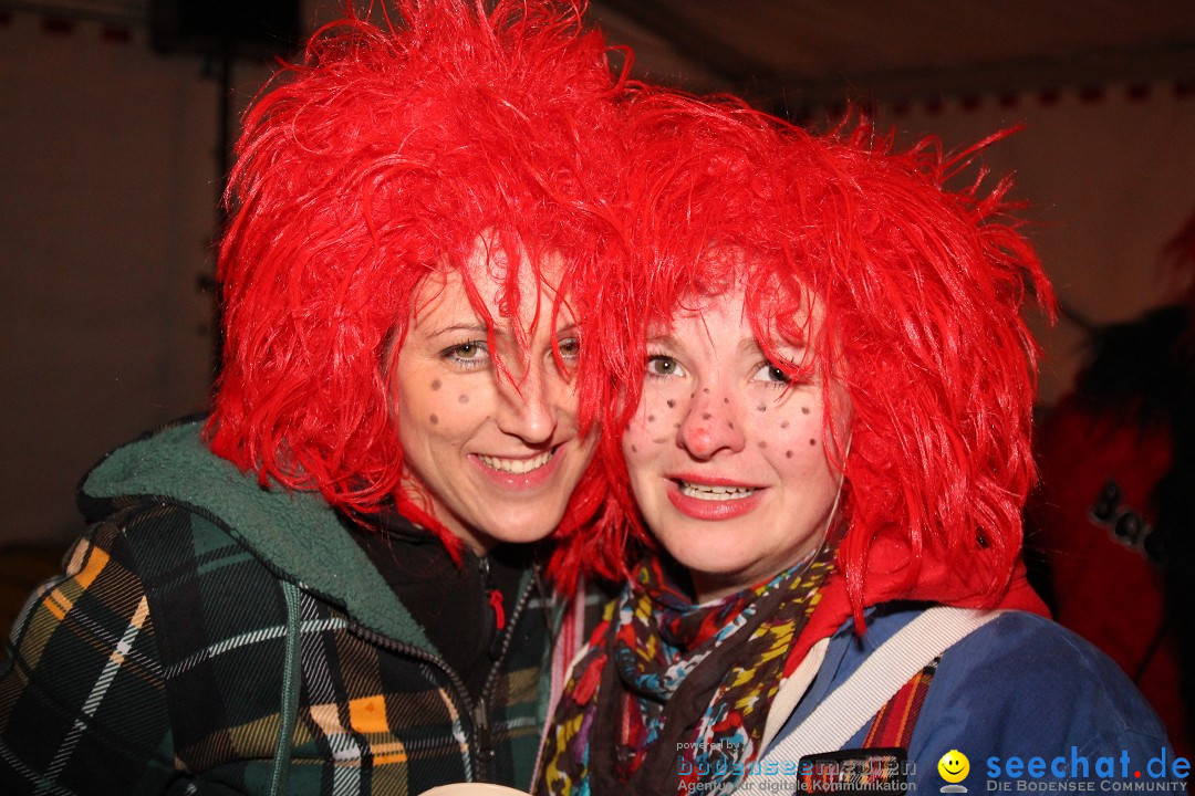 Narrentreffen - Narrentage in Orsingen-Nenzingen am Bodensee, 15.02.2014