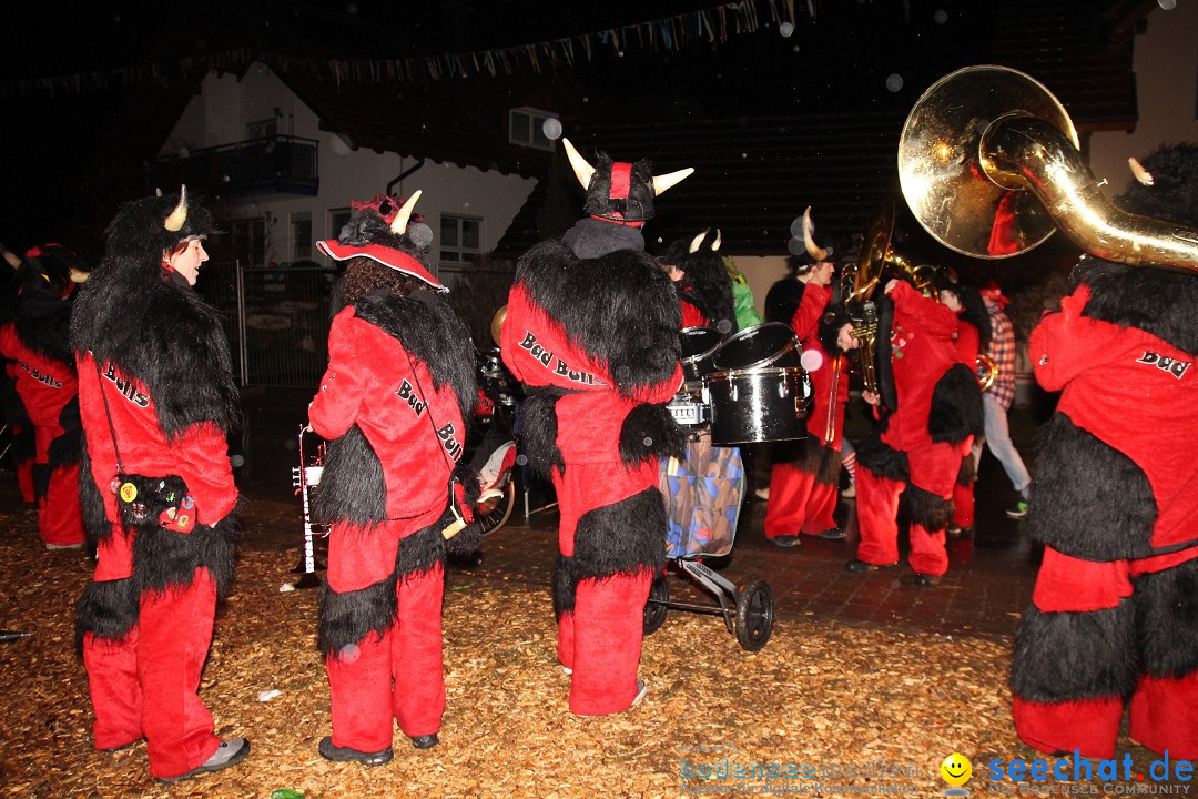 Narrentreffen - Narrentage in Orsingen-Nenzingen am Bodensee, 15.02.2014