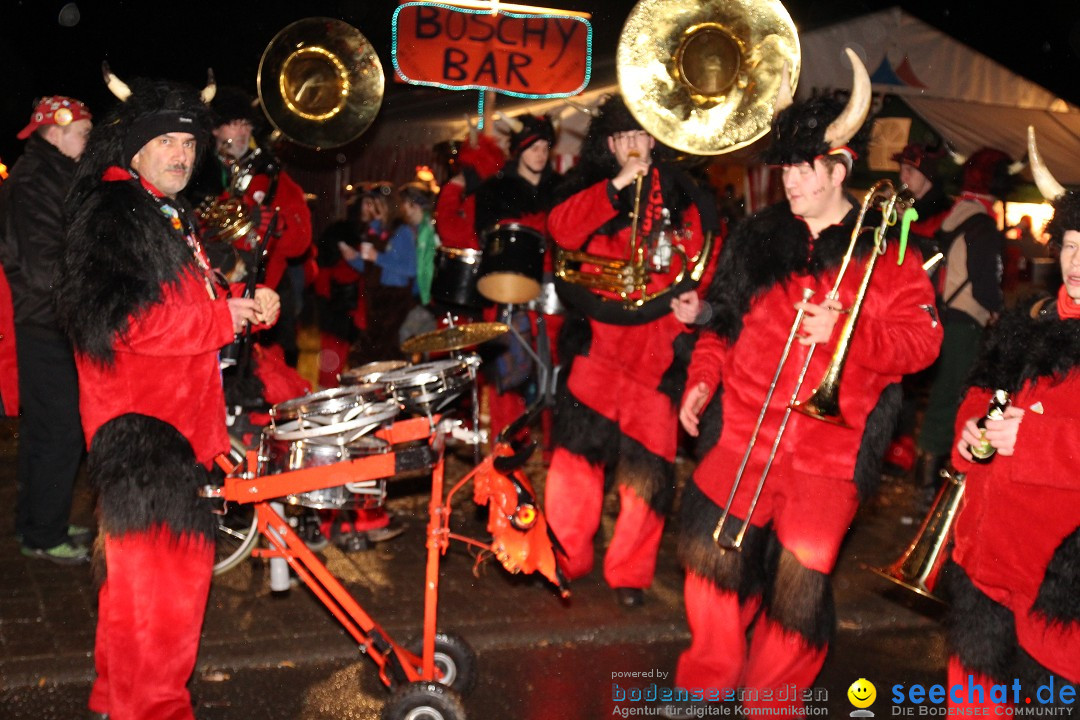 Narrentreffen - Narrentage in Orsingen-Nenzingen am Bodensee, 15.02.2014