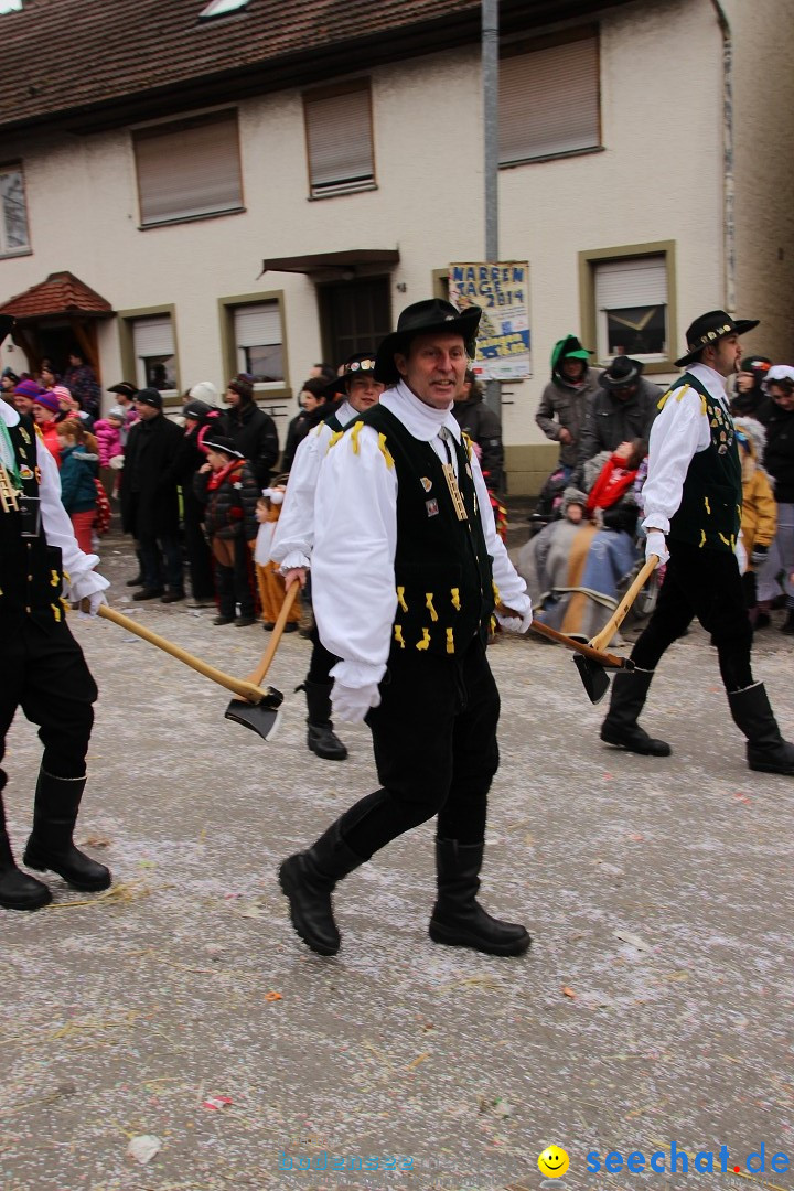 Narrenumzug - Fasnet Narrentage: Nenzingen am Bodensee, 15.02.2014