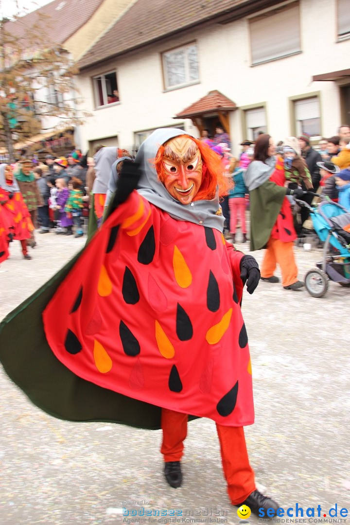 Narrenumzug - Fasnet Narrentage: Nenzingen am Bodensee, 15.02.2014