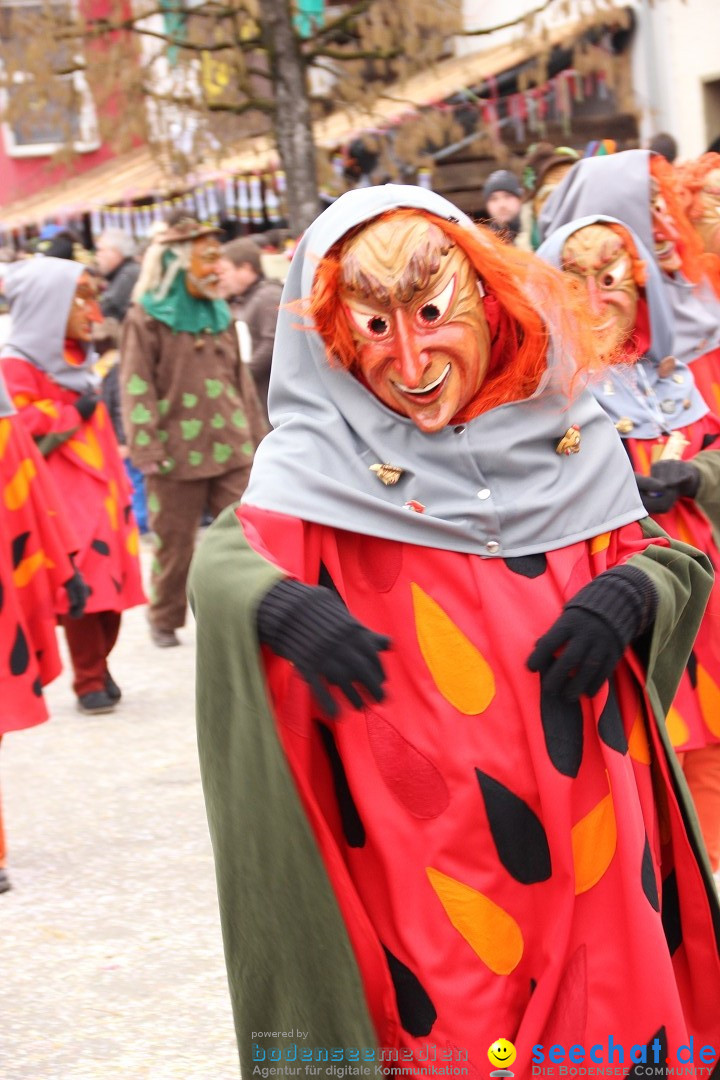 Narrenumzug - Fasnet Narrentage: Nenzingen am Bodensee, 15.02.2014