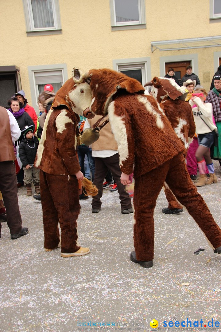 Narrenumzug - Fasnet Narrentage: Nenzingen am Bodensee, 15.02.2014