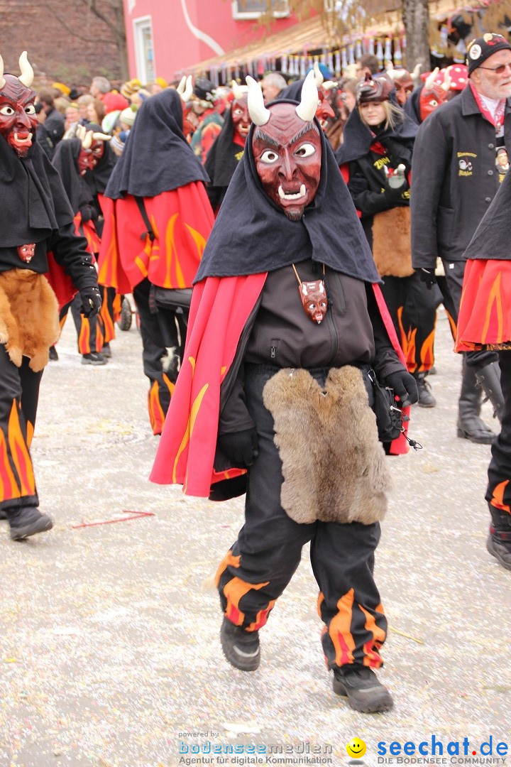 Narrenumzug - Fasnet Narrentage: Nenzingen am Bodensee, 15.02.2014