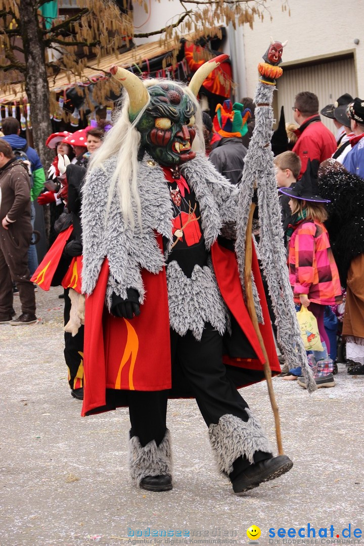 Narrenumzug - Fasnet Narrentage: Nenzingen am Bodensee, 15.02.2014