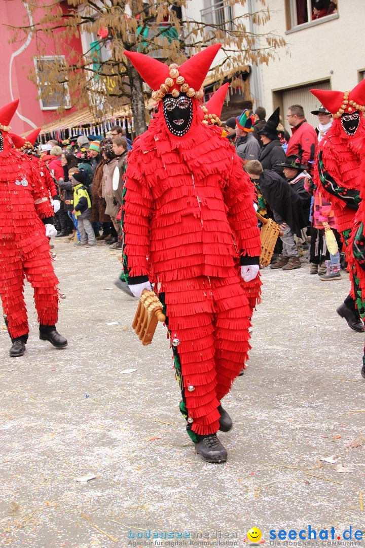 Narrenumzug - Fasnet Narrentage: Nenzingen am Bodensee, 15.02.2014