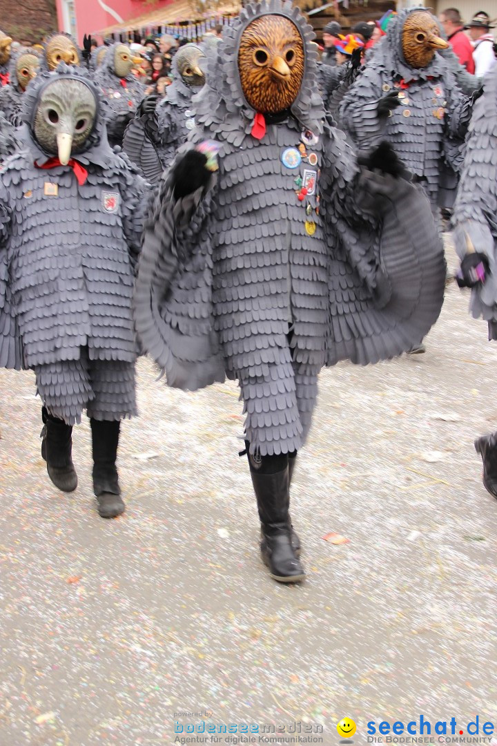 Narrenumzug - Fasnet Narrentage: Nenzingen am Bodensee, 15.02.2014