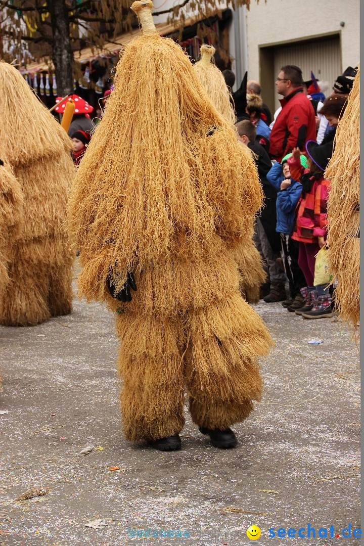 Narrenumzug - Fasnet Narrentage: Nenzingen am Bodensee, 15.02.2014