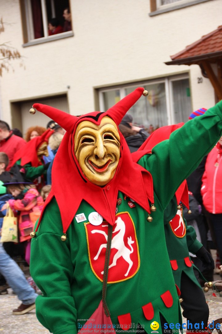 Narrenumzug - Fasnet Narrentage: Nenzingen am Bodensee, 15.02.2014