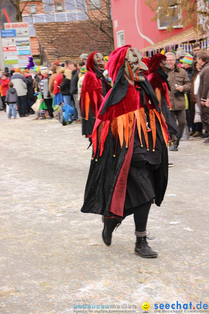 Narrenumzug - Fasnet Narrentage: Nenzingen am Bodensee, 15.02.2014