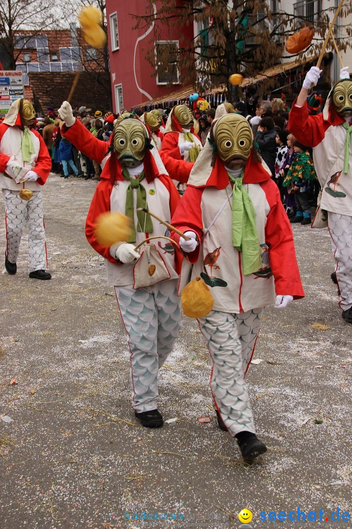 Narrenumzug - Fasnet Narrentage: Nenzingen am Bodensee, 15.02.2014