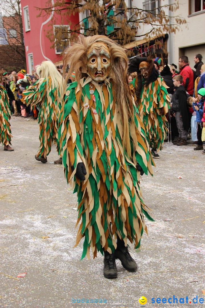 Narrenumzug - Fasnet Narrentage: Nenzingen am Bodensee, 15.02.2014