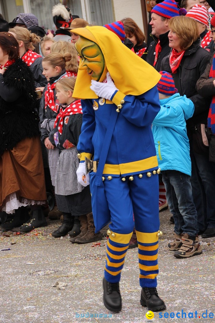 Narrenumzug - Fasnet Narrentage: Nenzingen am Bodensee, 15.02.2014