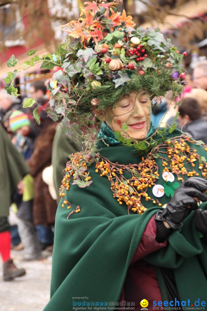 Narrenumzug - Fasnet Narrentage: Nenzingen am Bodensee, 15.02.2014