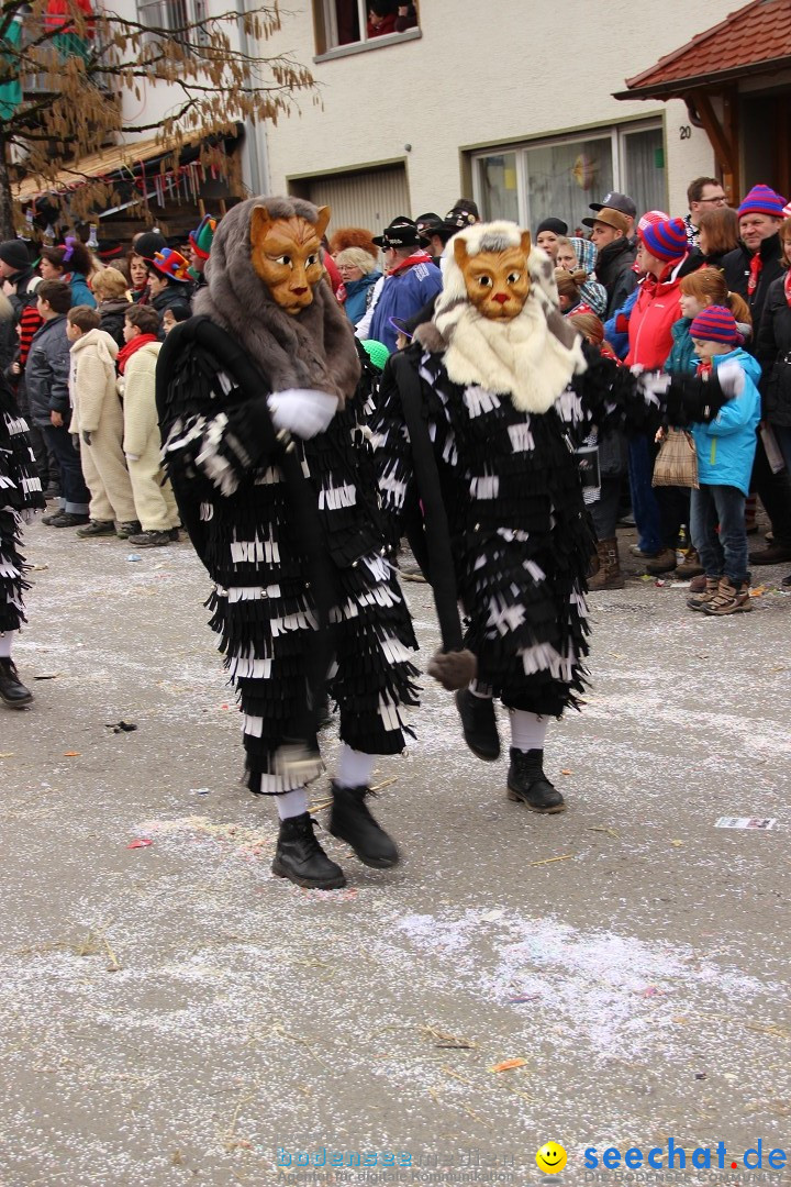 Narrenumzug - Fasnet Narrentage: Nenzingen am Bodensee, 15.02.2014