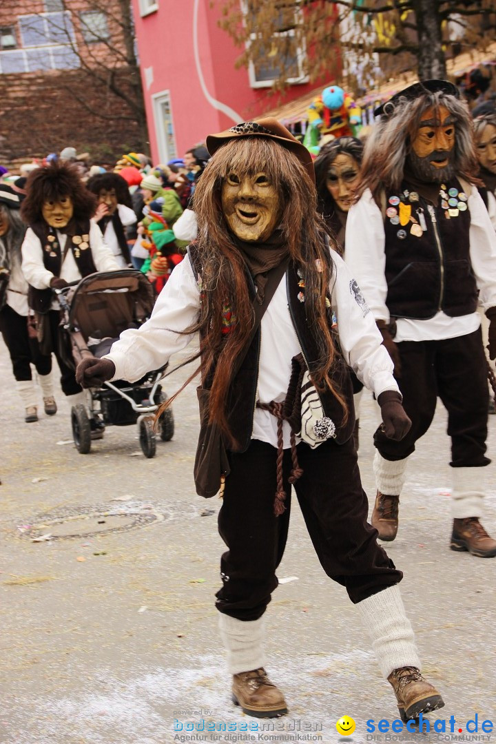 Narrenumzug - Fasnet Narrentage: Nenzingen am Bodensee, 15.02.2014