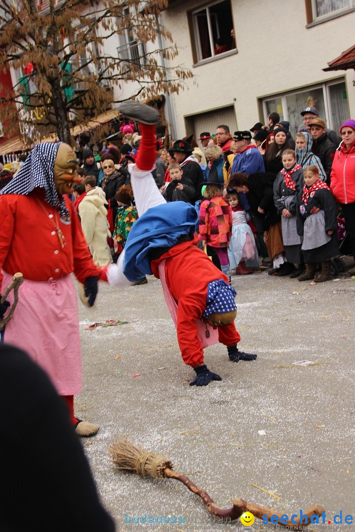 Narrenumzug - Fasnet Narrentage: Nenzingen am Bodensee, 15.02.2014