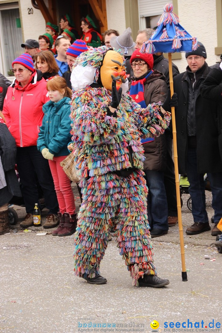 Narrenumzug - Fasnet Narrentage: Nenzingen am Bodensee, 15.02.2014