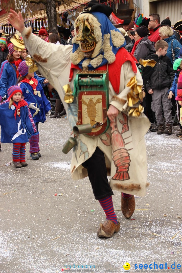 Narrenumzug - Fasnet Narrentage: Nenzingen am Bodensee, 15.02.2014