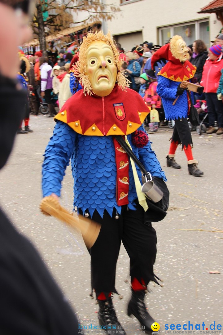 Narrenumzug - Fasnet Narrentage: Nenzingen am Bodensee, 15.02.2014