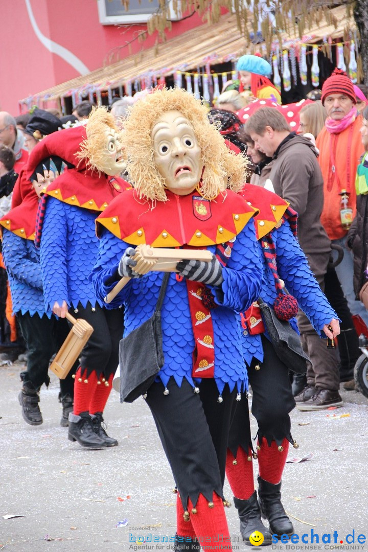 Narrenumzug - Fasnet Narrentage: Nenzingen am Bodensee, 15.02.2014