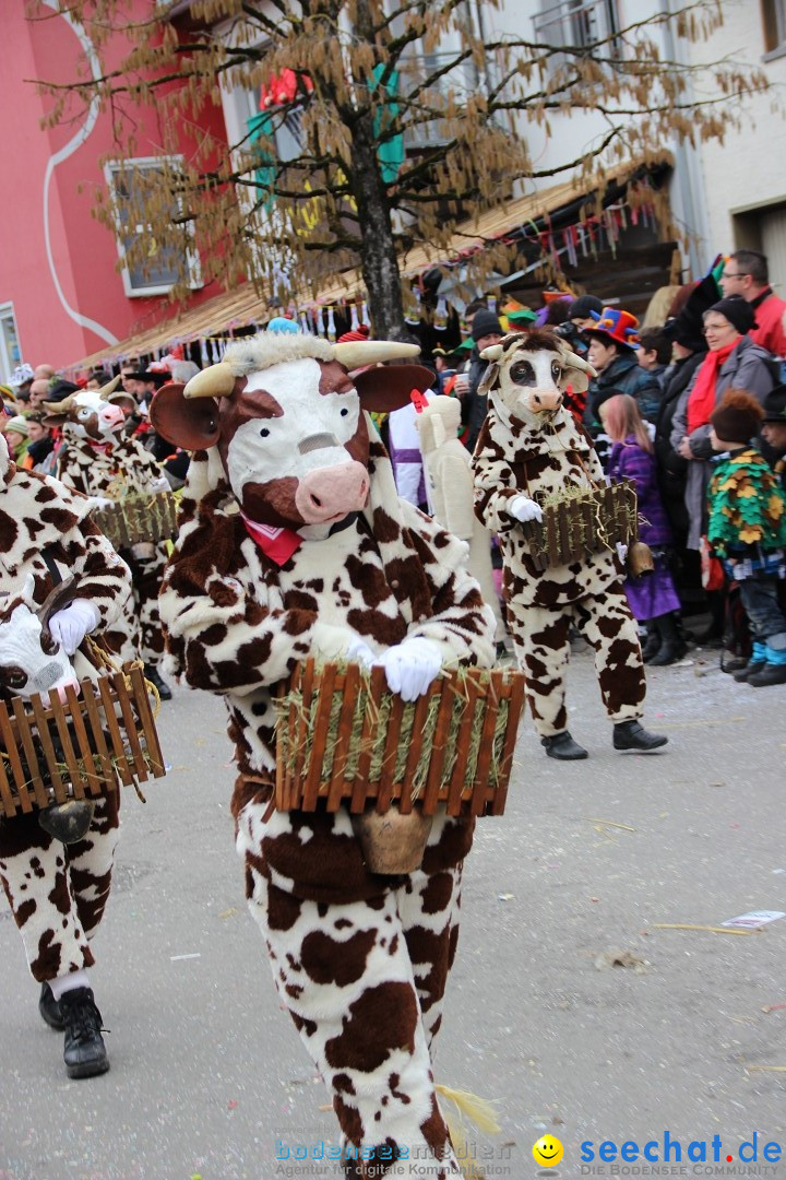 Narrenumzug - Fasnet Narrentage: Nenzingen am Bodensee, 15.02.2014