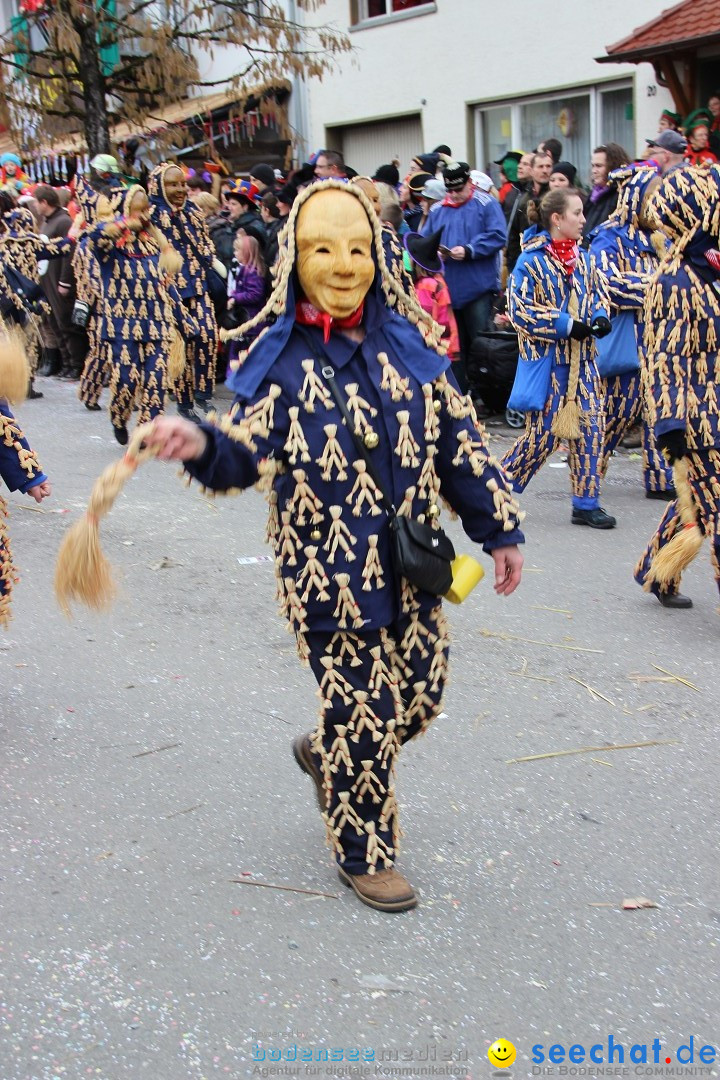 Narrenumzug - Fasnet Narrentage: Nenzingen am Bodensee, 15.02.2014