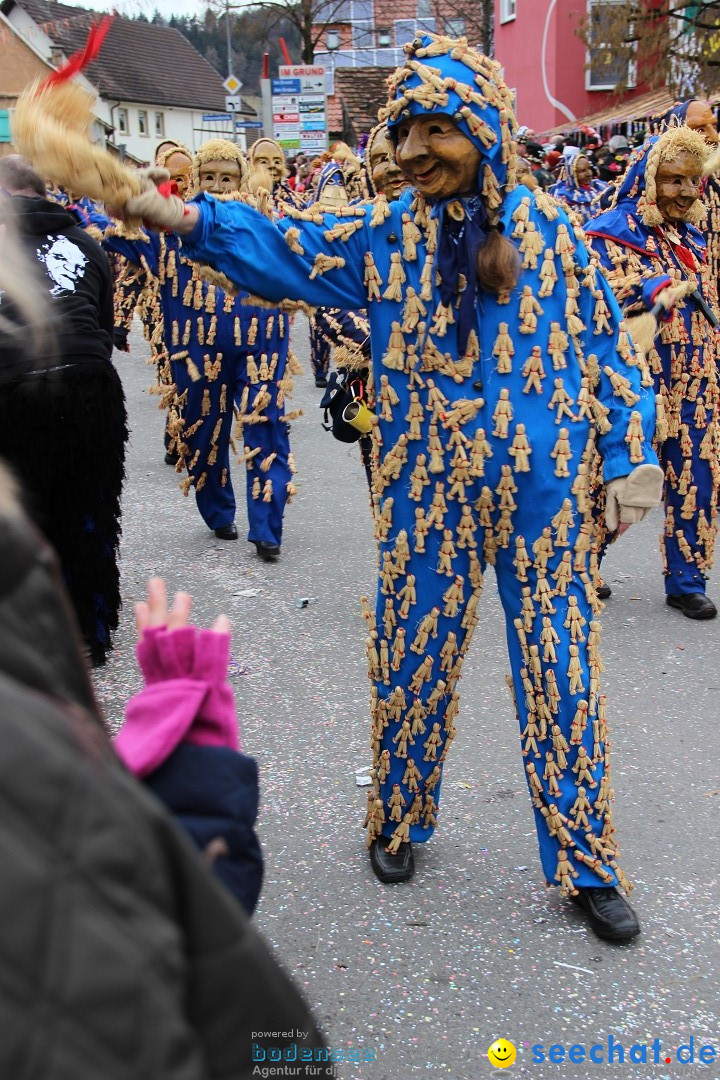 Narrenumzug - Fasnet Narrentage: Nenzingen am Bodensee, 15.02.2014