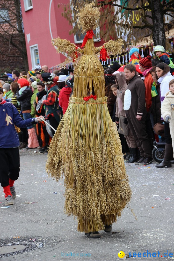 Narrenumzug - Fasnet Narrentage: Nenzingen am Bodensee, 15.02.2014