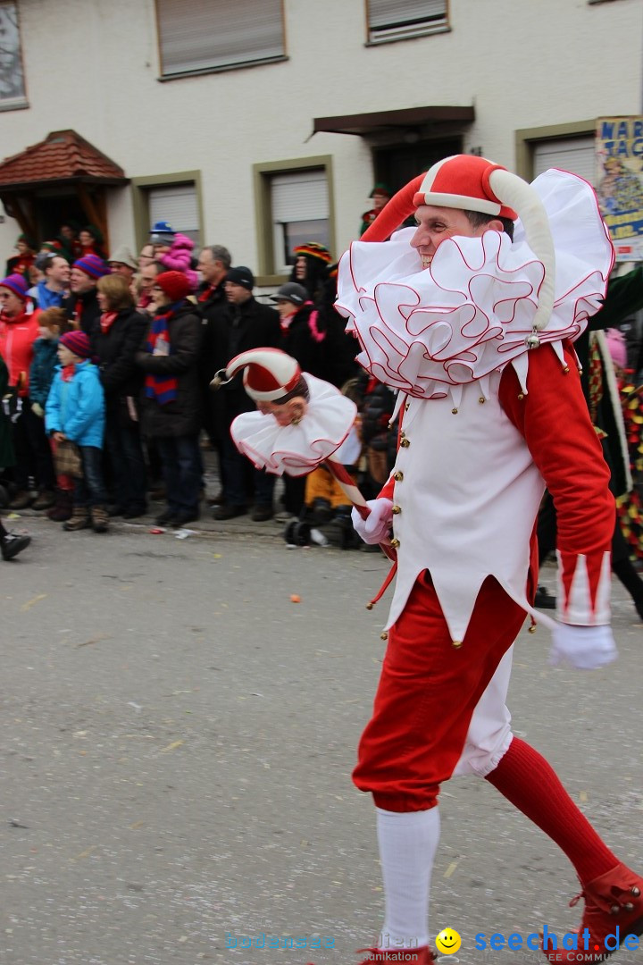 Narrenumzug - Fasnet Narrentage: Nenzingen am Bodensee, 15.02.2014