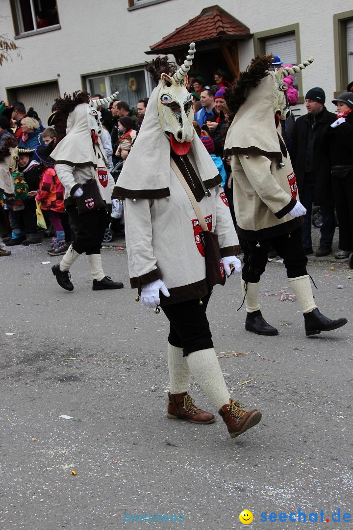 Narrenumzug - Fasnet Narrentage: Nenzingen am Bodensee, 15.02.2014