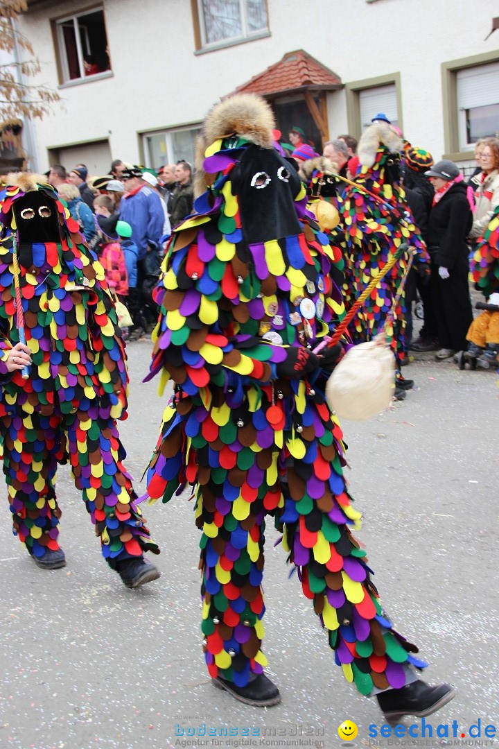 Narrenumzug - Fasnet Narrentage: Nenzingen am Bodensee, 15.02.2014