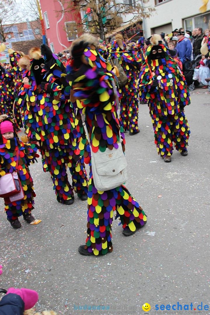 Narrenumzug - Fasnet Narrentage: Nenzingen am Bodensee, 15.02.2014