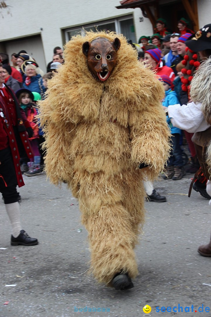 Narrenumzug - Fasnet Narrentage: Nenzingen am Bodensee, 15.02.2014