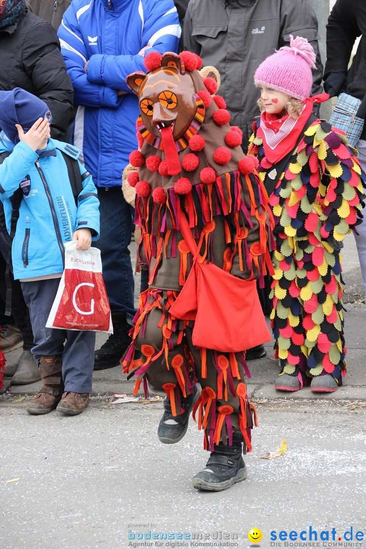 Narrenumzug - Fasnet Narrentage: Nenzingen am Bodensee, 15.02.2014